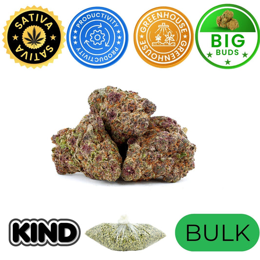 Where to Buy THCa Flower in Los Angeles & San Francisco