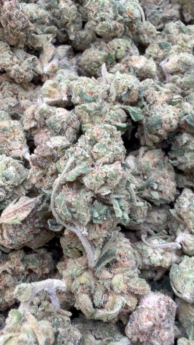 Zlushies Minis - Bulk Minis - Indica