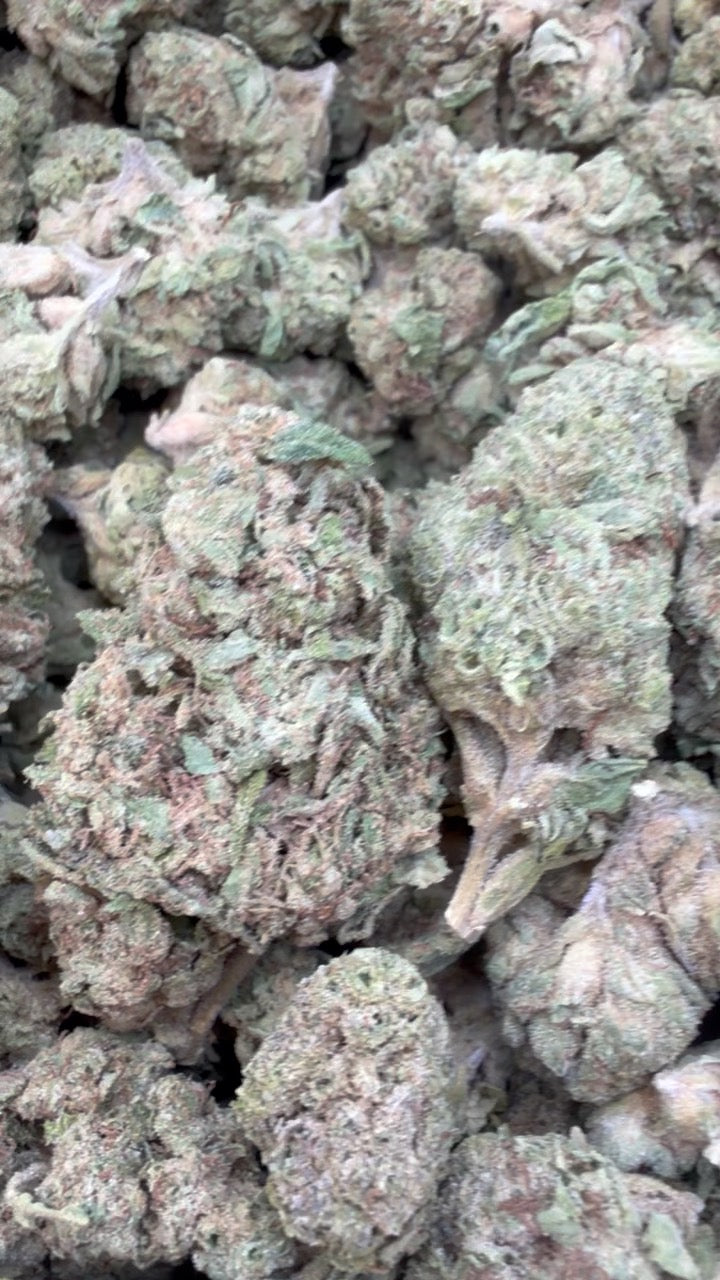 White Runtz - Bulk - Hybrid