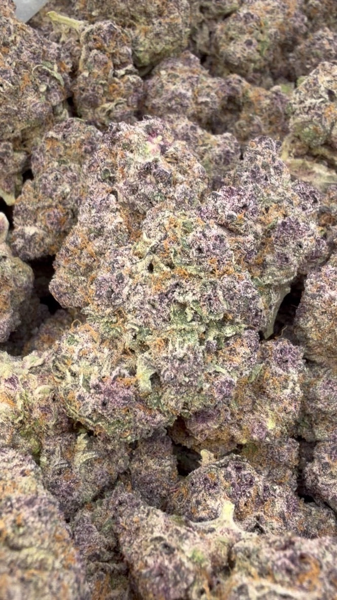 Purple Trainwreck Indoor - Bulk - Sativa