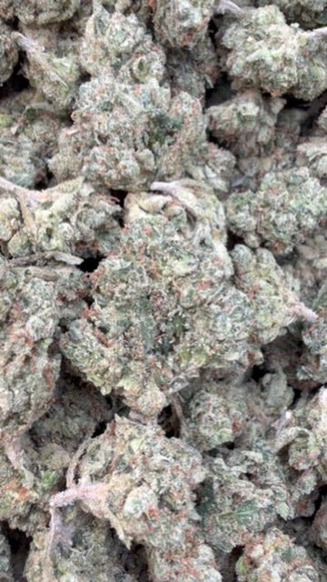 Citrus Kush Indoor Mediums - Bulk Mediums - Indica