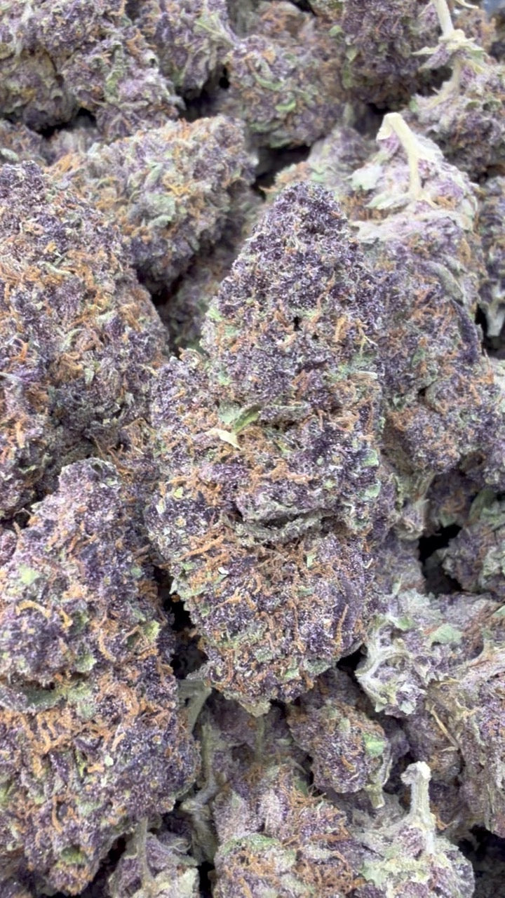 Trop Cherry - Bulk - Sativa