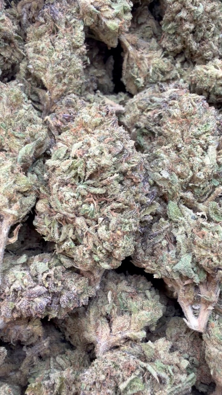 Sugar Cookies - Bulk - Indica