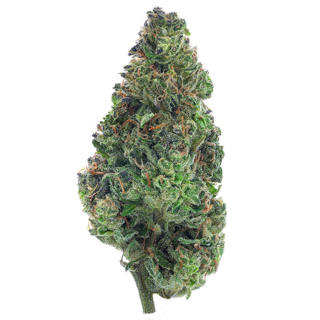 ZAZA - Bubba Kush - 28 Grams - Indica