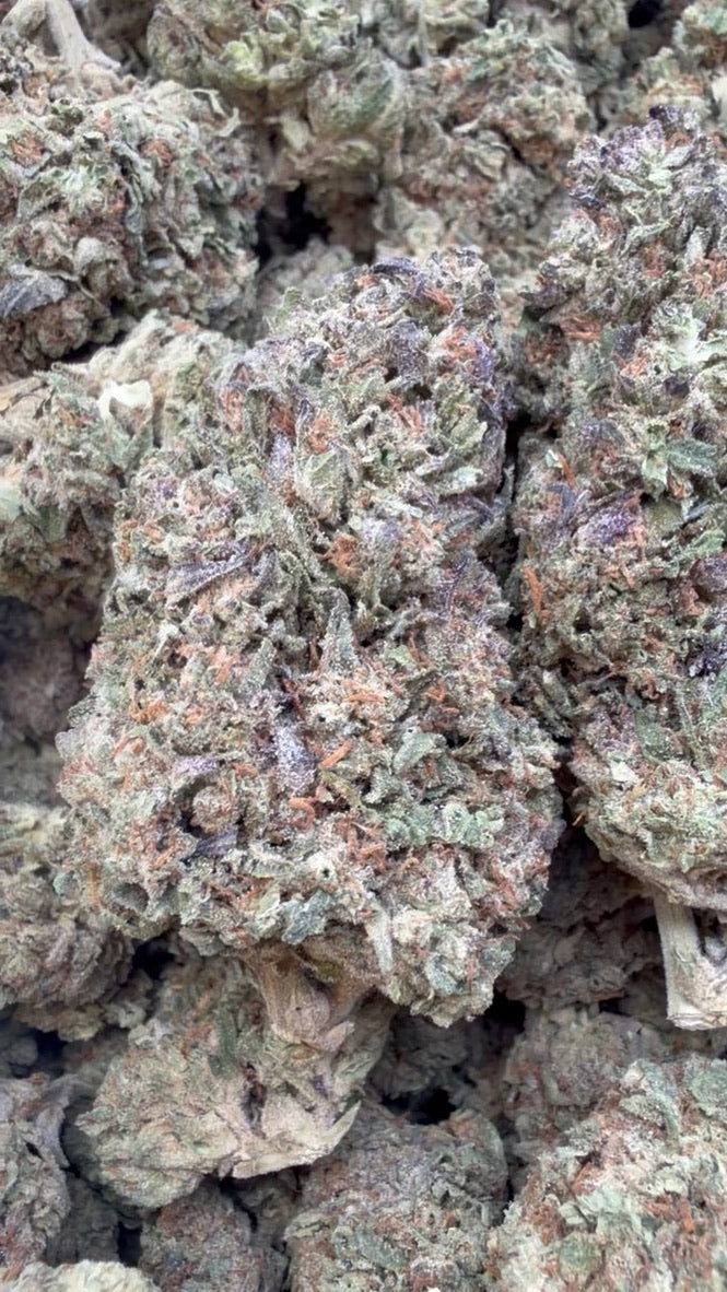 Permanent Marker - Bulk - Hybrid