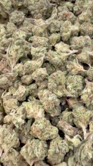 Citrus Kush Indoor Minis - Bulk Minis - Indica