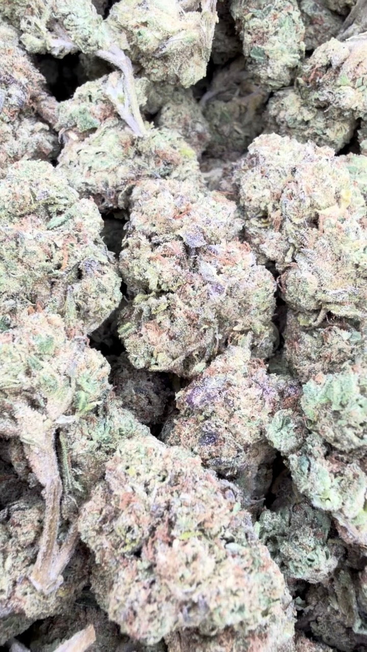 Gary Cherry - Bulk - Indica