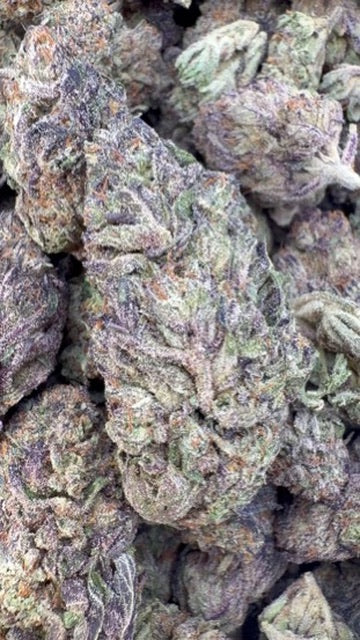 Grape Soda - Bulk - Sativa