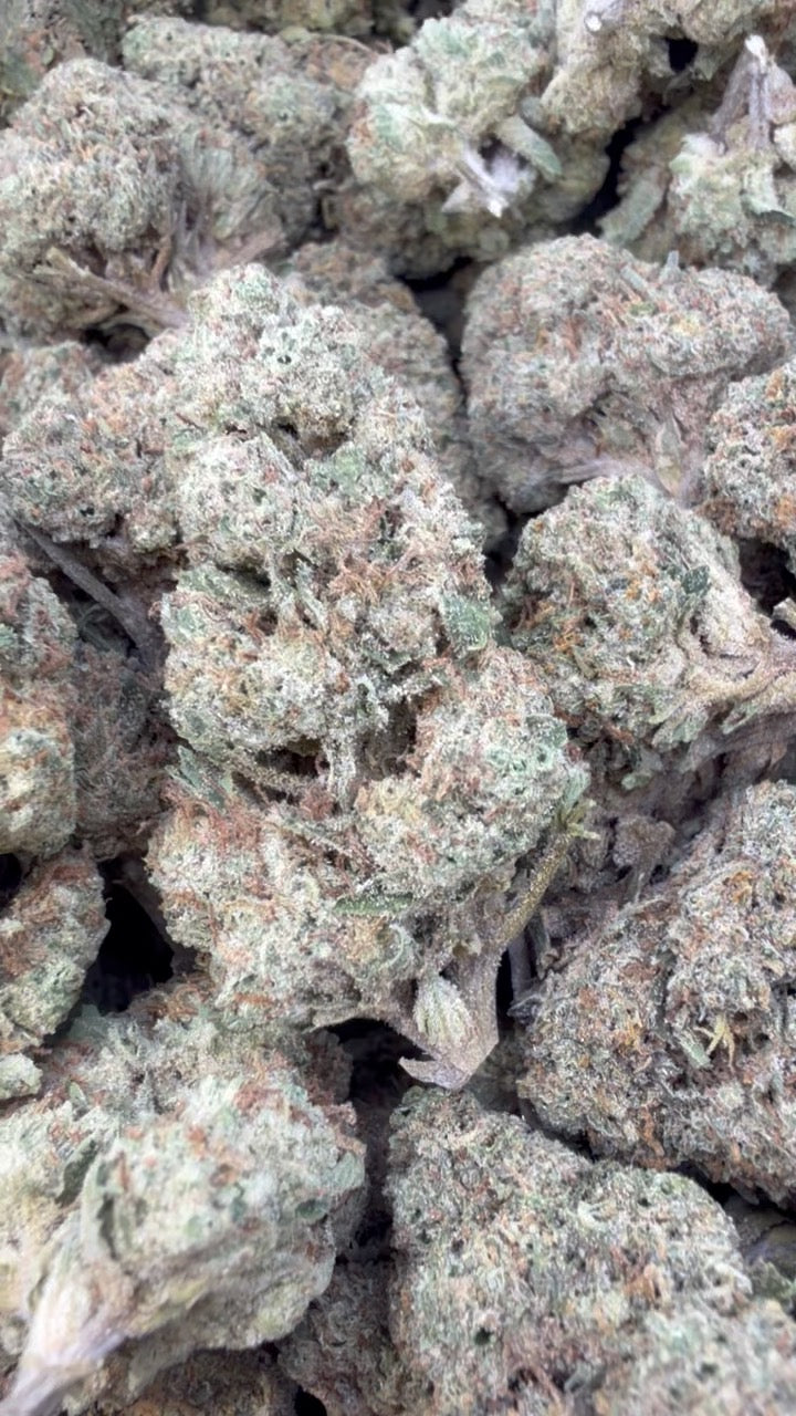 Caramel Apple - Bulk - Hybrid