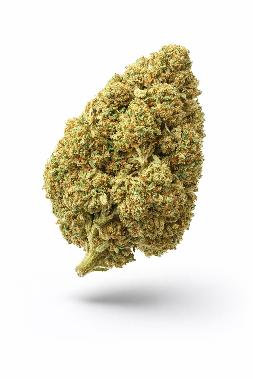 Jack Murphy - Bulk - Indica