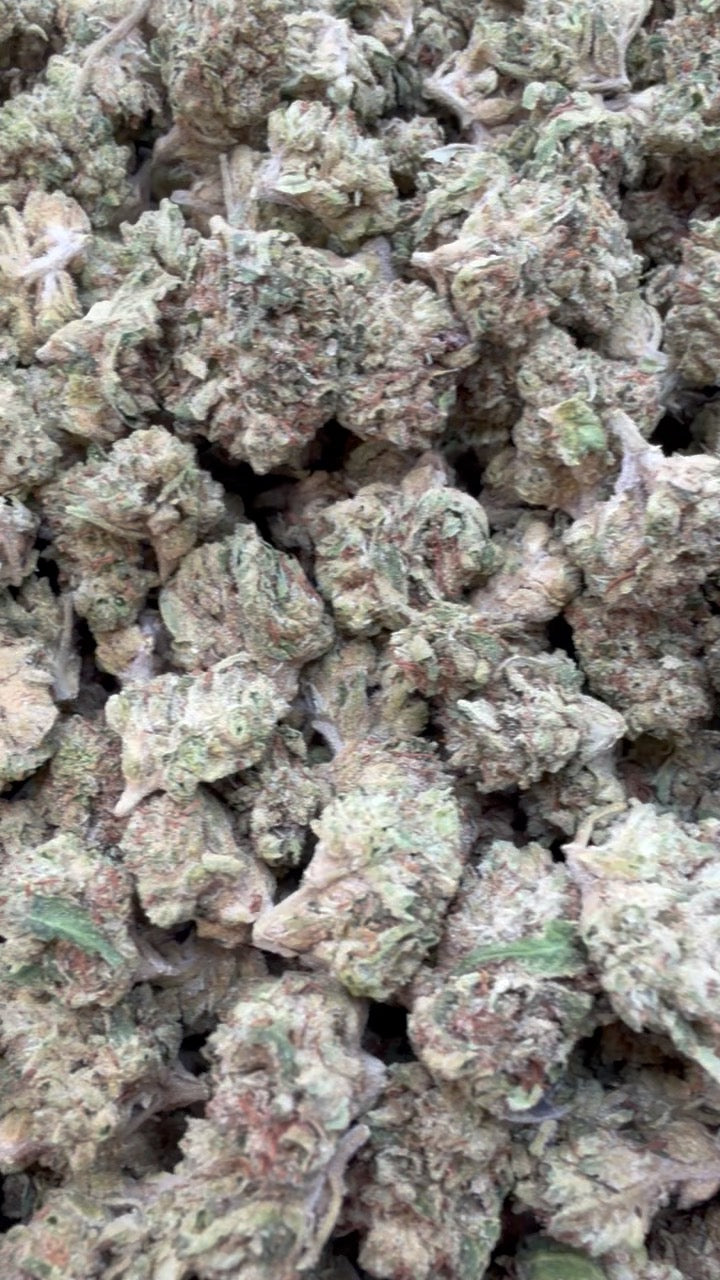 Blueberry Zkittlez Minis - Bulk Minis - Indica