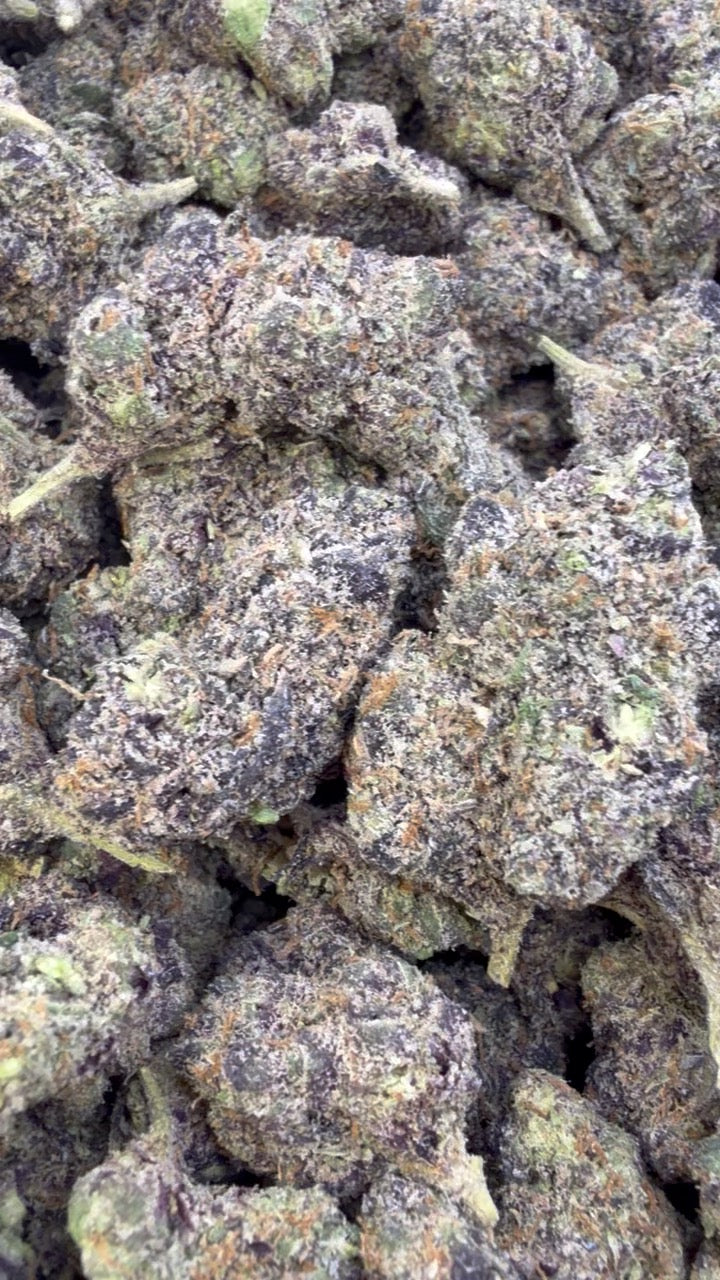 Purple Cookies - Bulk- Hybrid