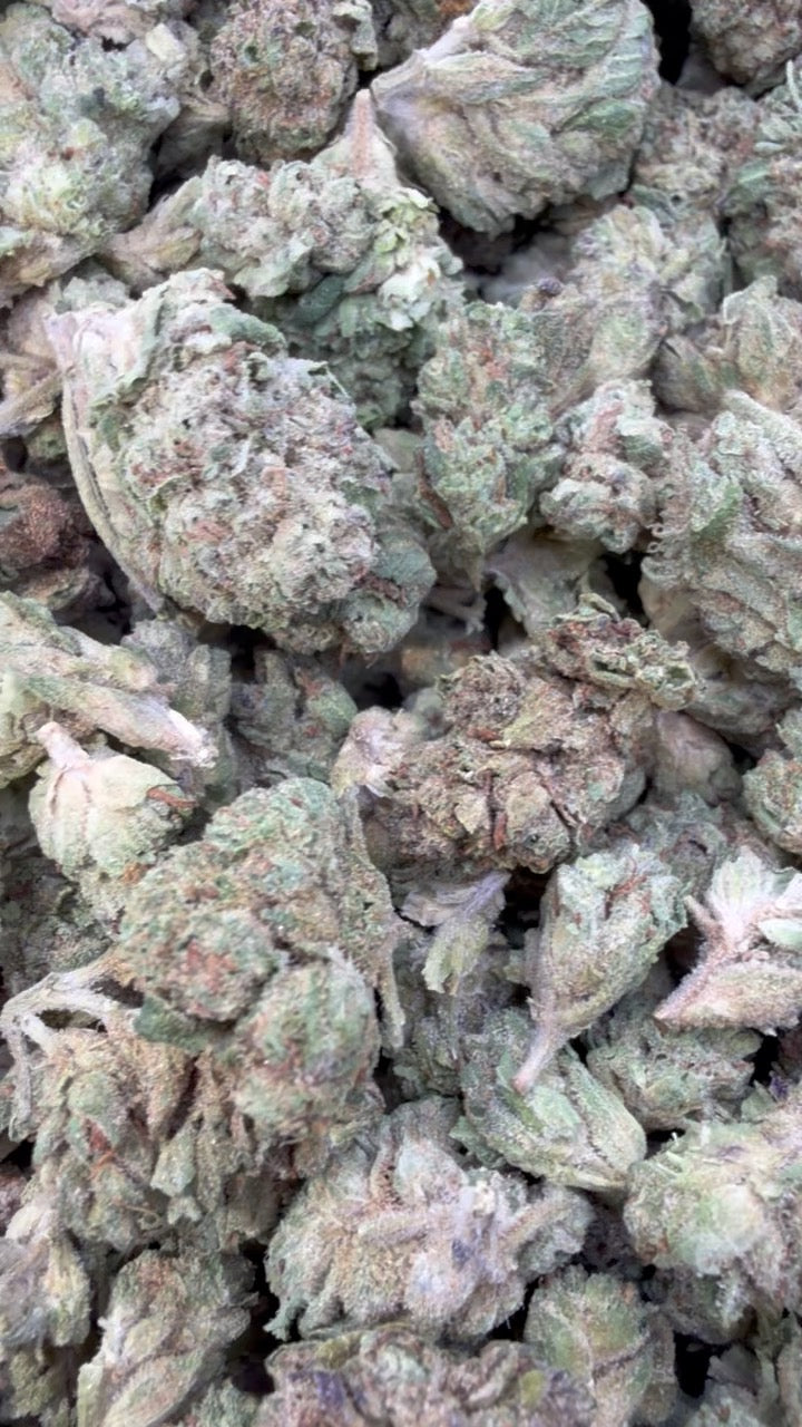 Bubba Candy Minis - Bulk Minis - Indica