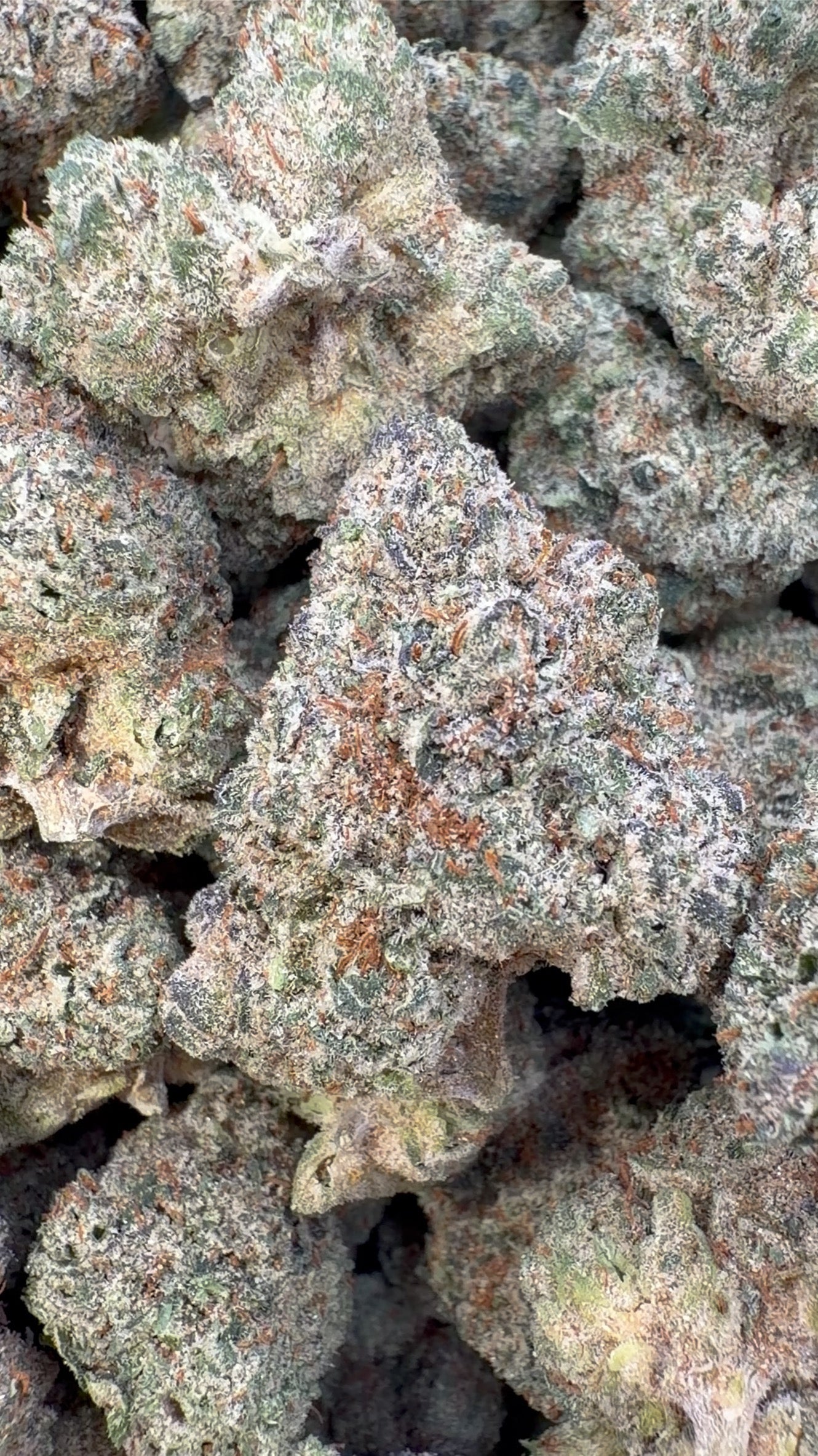 Jokerz Indoor - Bulk - Indica – Smoke Kind