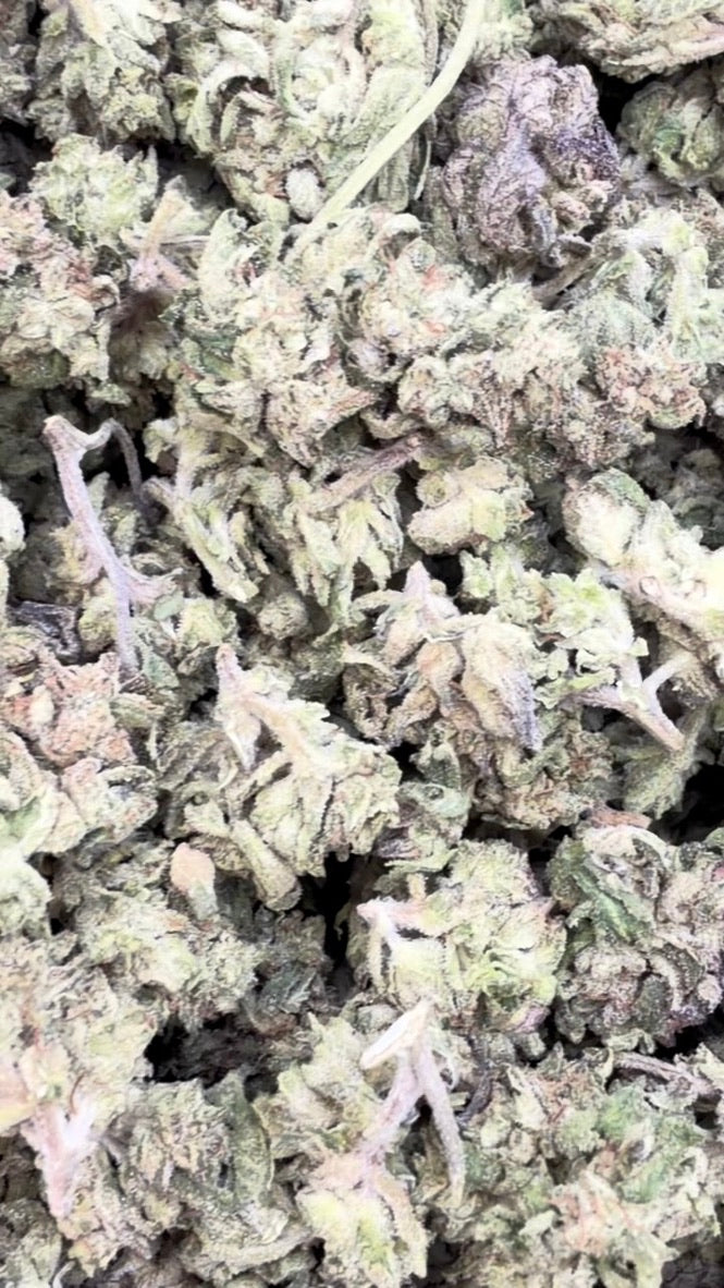 Purple Mendo Minis - Bulk Minis - Indica