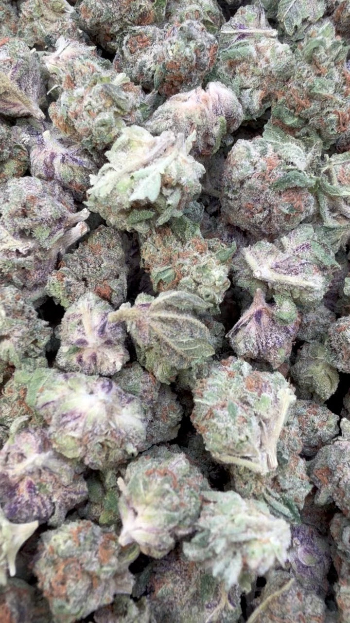 Pave Pop Minis - Bulk Minis - Hybrid