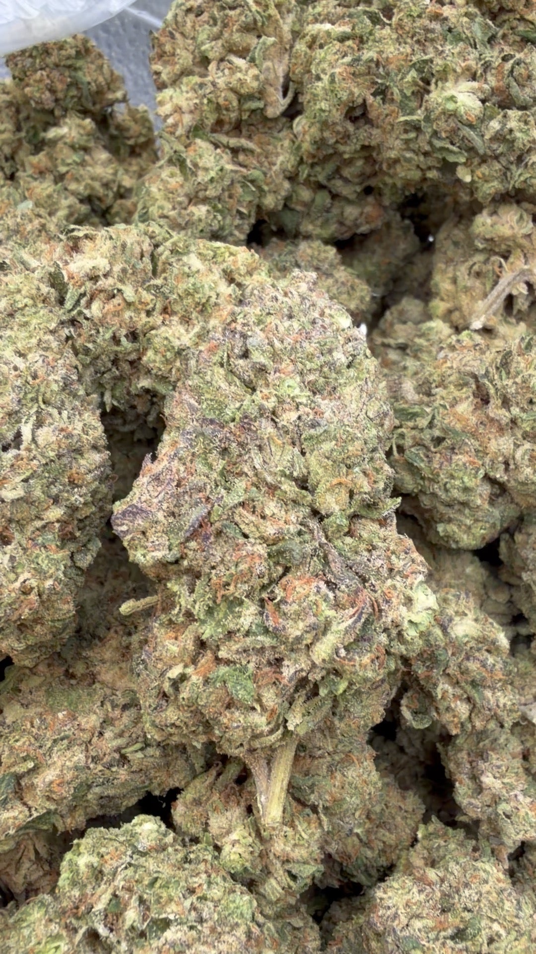 LA Pop Rocks - Bulk - Indica