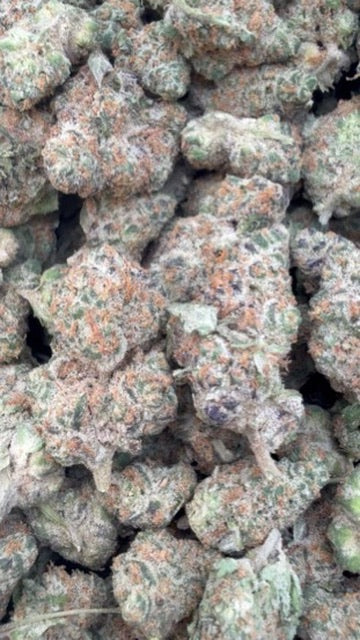 Sharpie Candy - Bulk- Hybrid