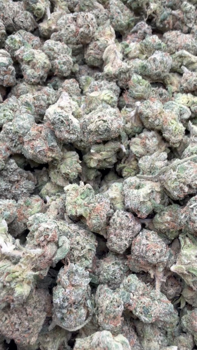 Blue Nerds Indoor Minis - Bulk Minis - Hybrid