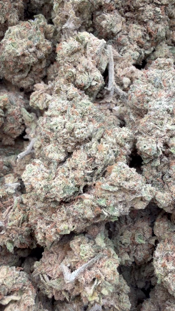 Strawberry Cough - Bulk - Sativa