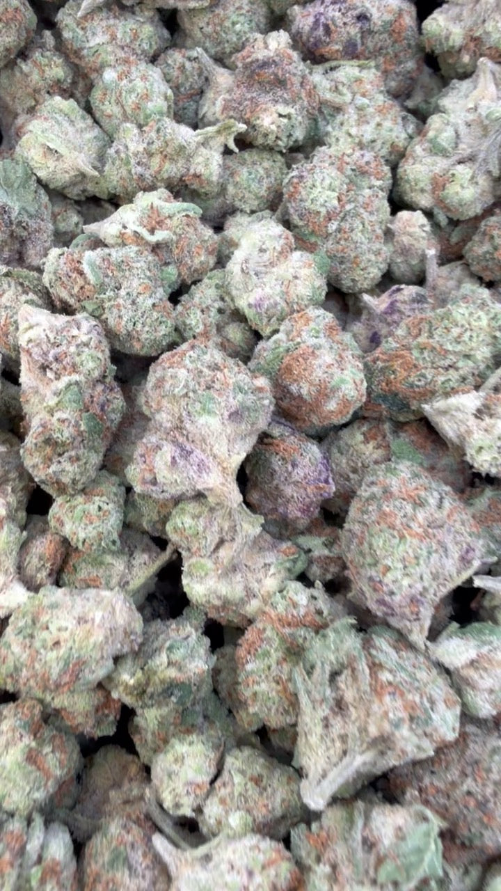 Apple Banana Minis - Bulk Minis - Hybrid