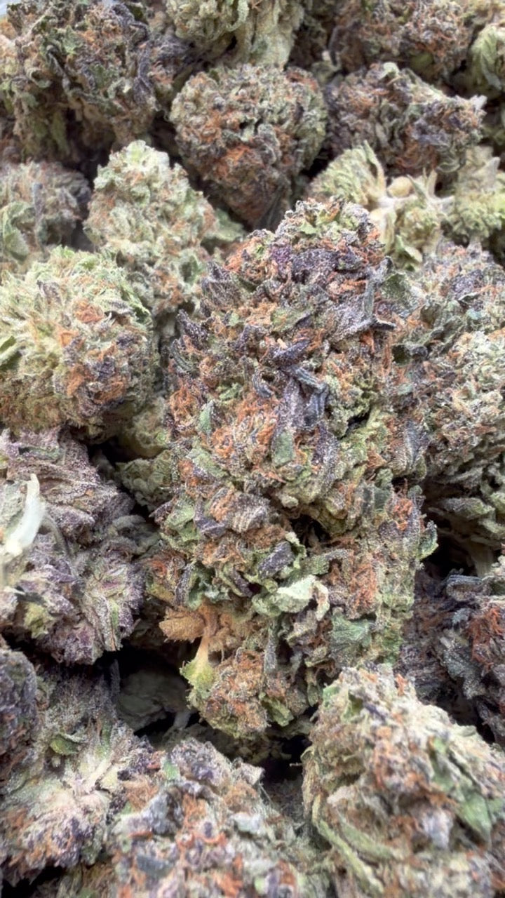 Purple Hindu - Bulk - Indica