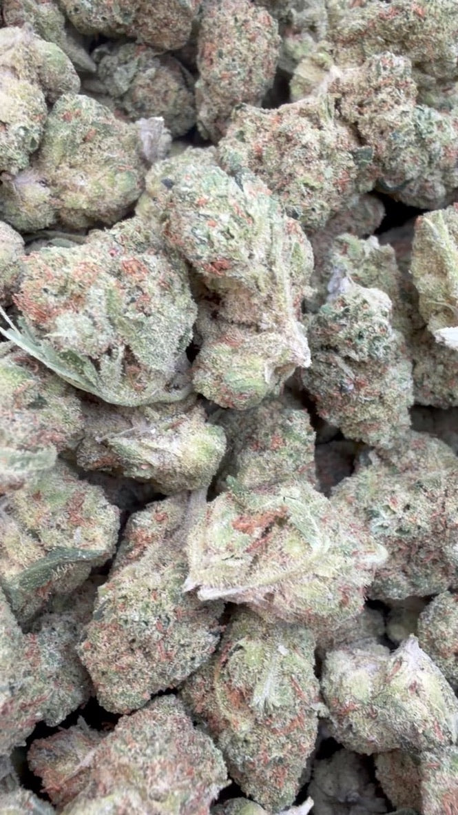 Banjo Minis - Bulk Minis - Sativa