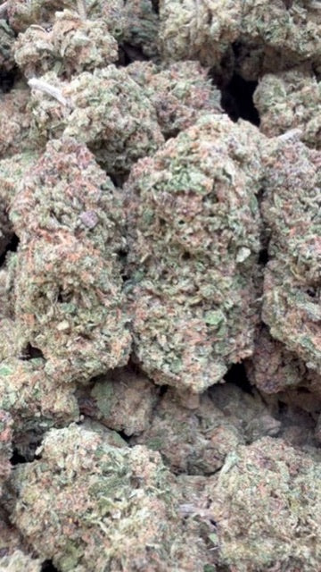 Nimbus Snacks - Bulk - Hybrid