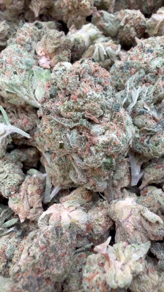 Master Kush - Bulk - Indica