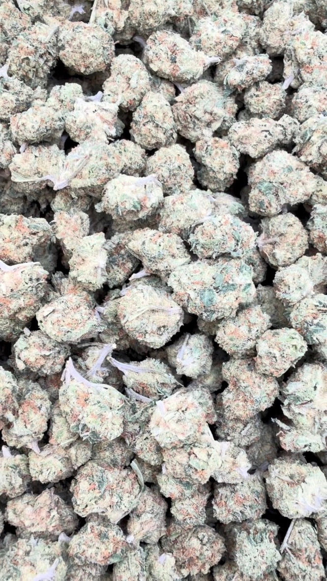 Cookie Crumble Minis - Bulk Minis - Hybrid