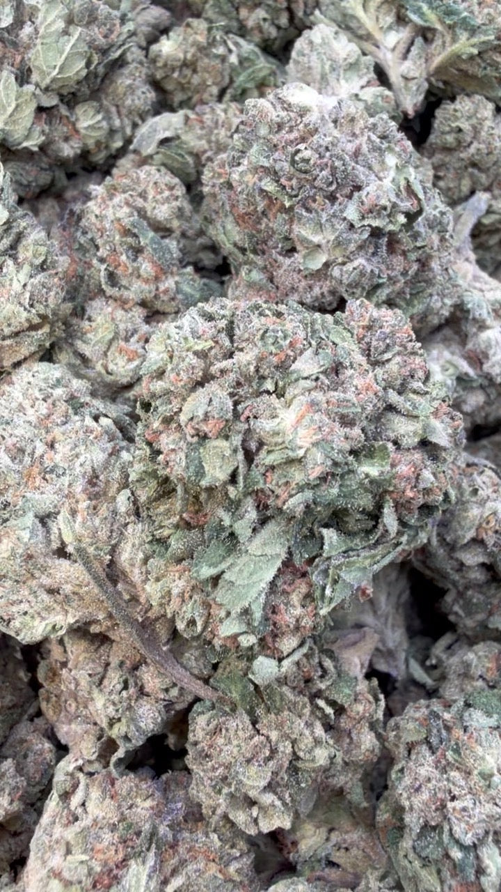 Grape Gas - Bulk - Hybrid