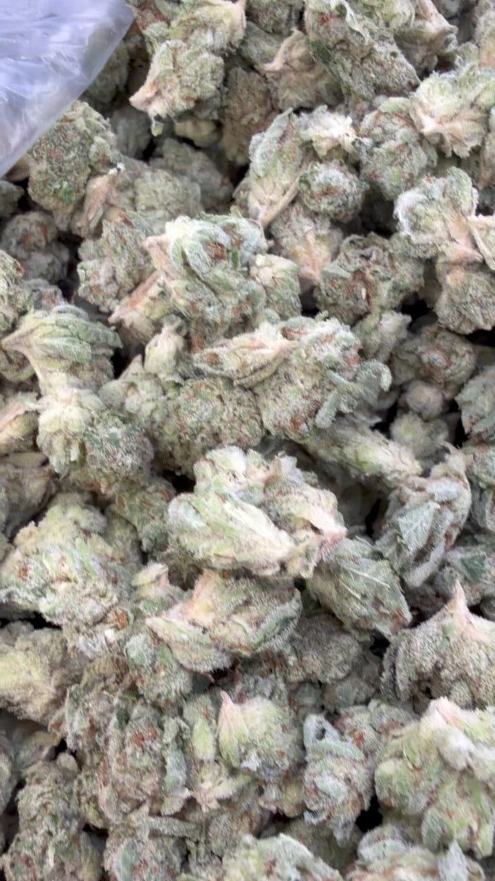 Gorilla Glue Minis - Bulk Minis - Hybrid