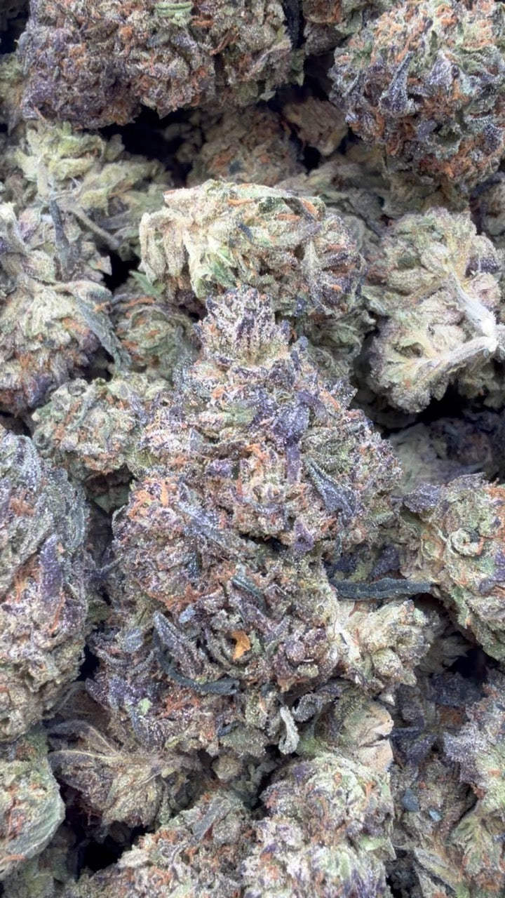 Cereal Milk - Bulk - Hybrid