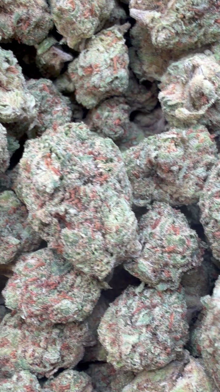 XJ-13 - Bulk - Sativa