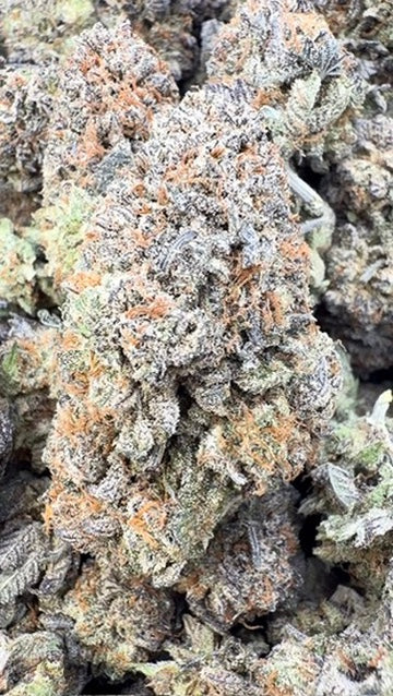 Pre 98 Bubba Indoor - Bulk- Indica