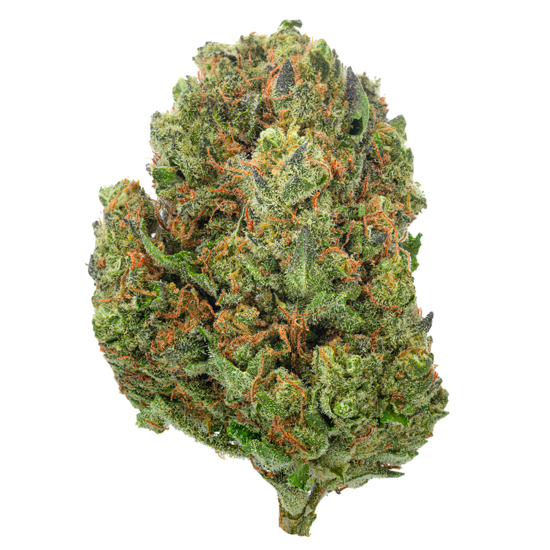 West West Brand - Chocolate Diesel - 14 Grams - Hybrid