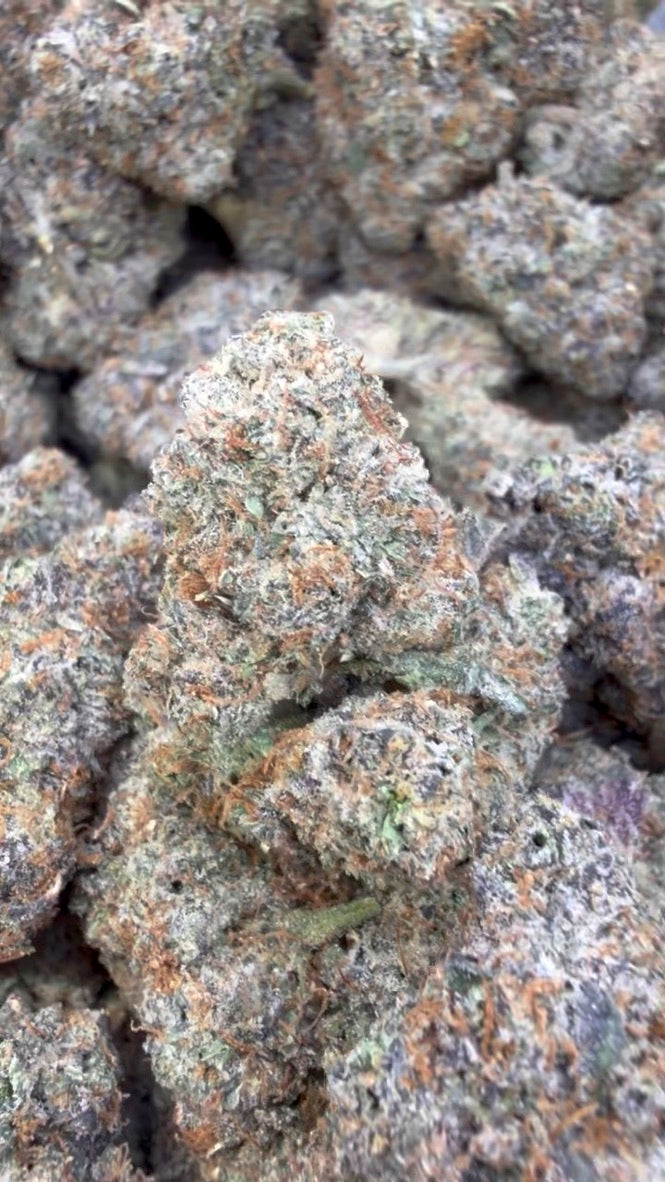 Super Blue Nerds Indoor - Bulk - Hybrid