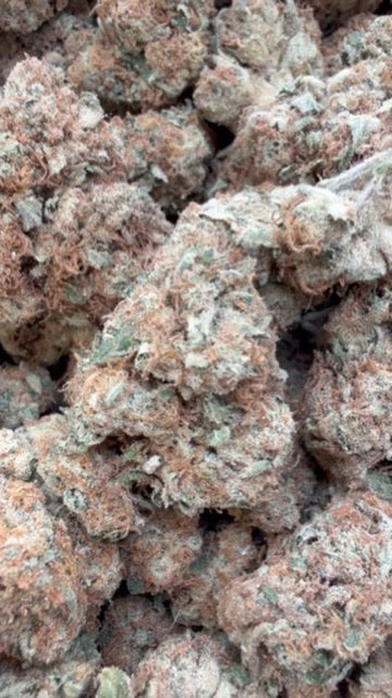 Blueberry Pancakes - Bulk - Indica