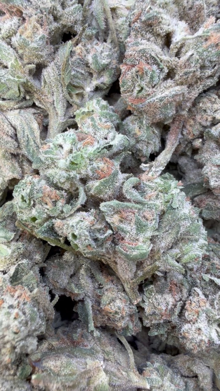 Cookie Crumble - Bulk - Hybrid