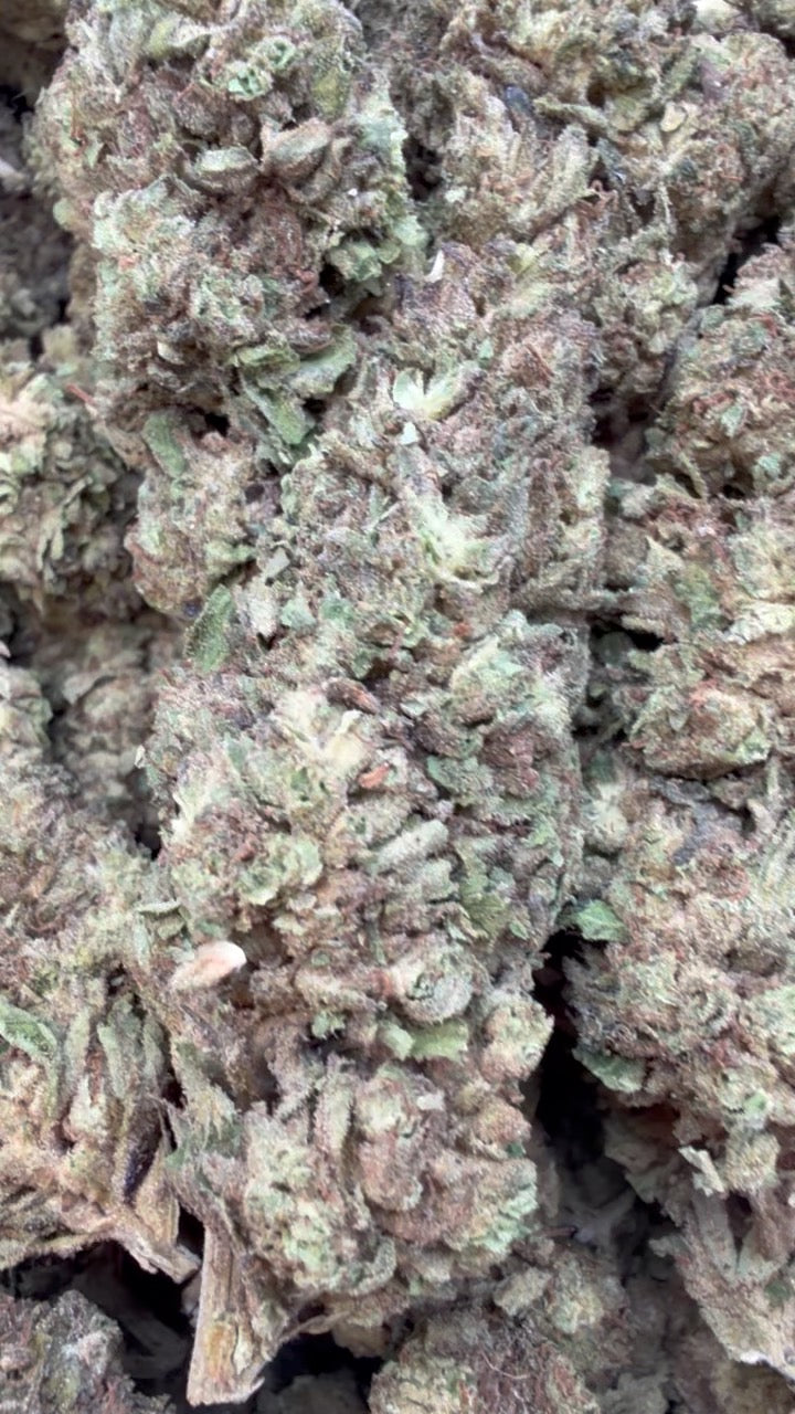 Bubba Candy - Bulk - Indica