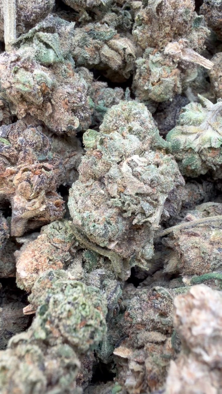 Winter Breath - Bulk - Hybrid