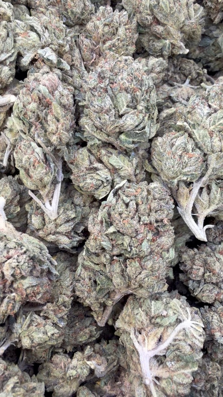 Mega OG - Bulk - Indica