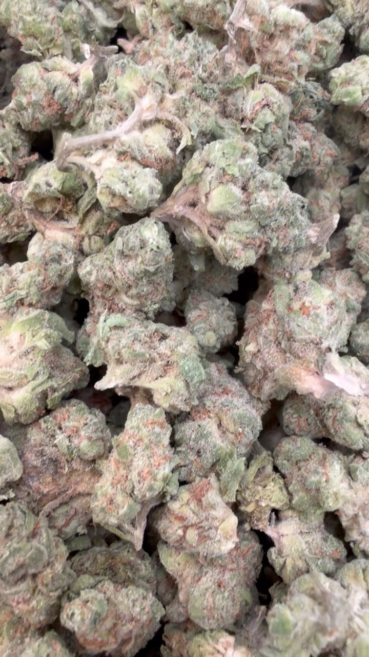 Animal Mintz Minis - Bulk Minis - Hybrid