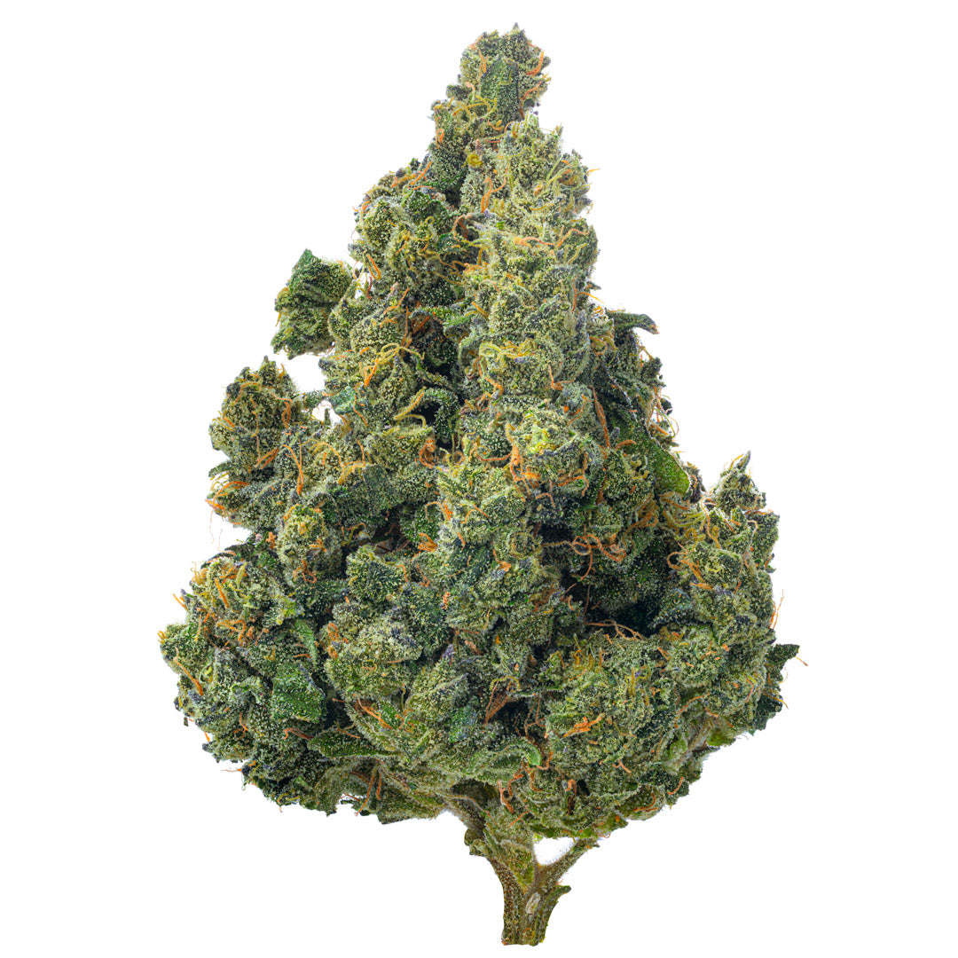 Super Jack Indoor - 14 Grams - Sativa