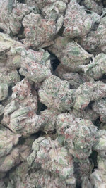 Blueberry Cough - Bulk - Minis (Sativa)
