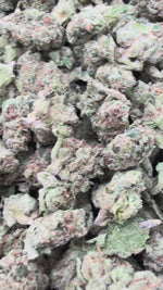 Lemon Cherry Gelato Minis - Bulk Minis - Hybrid