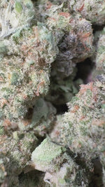 Peanut Butter Souffle - Bulk Minis - Indica