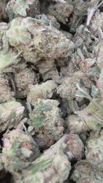 Gas Face Minis - Bulk Minis - Indica