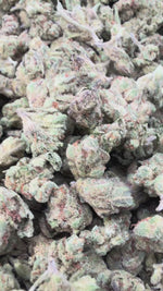 London Pound Cake 97 Minis - Bulk Minis - Indica