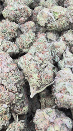 Kush Mintz - Bulk - Hybrid